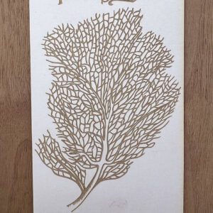Intricate dried sea fan coral displayed on white paper.