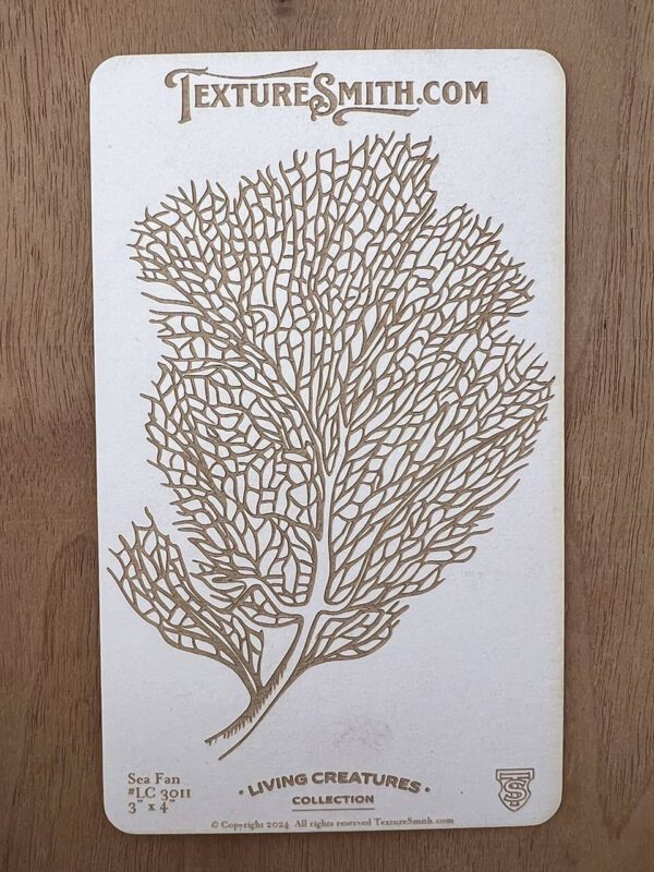 Intricate dried sea fan coral displayed on white paper.