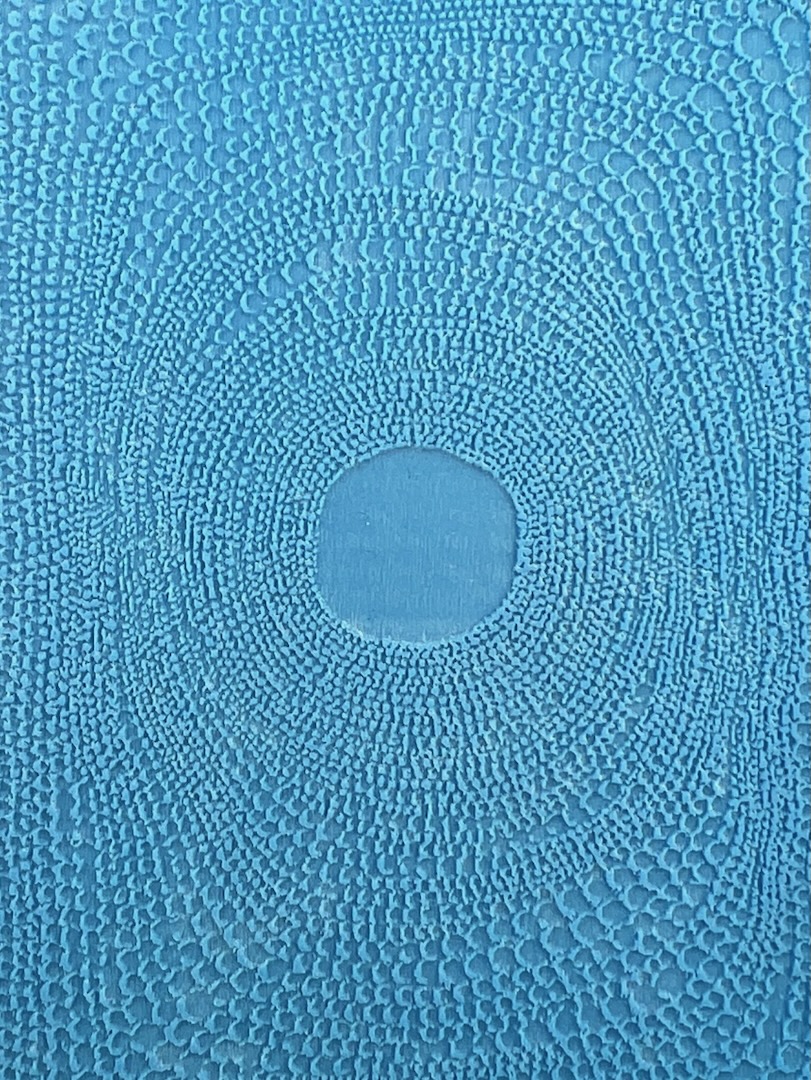 Vortex E