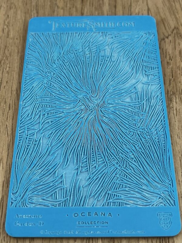 Anemone Garden D
