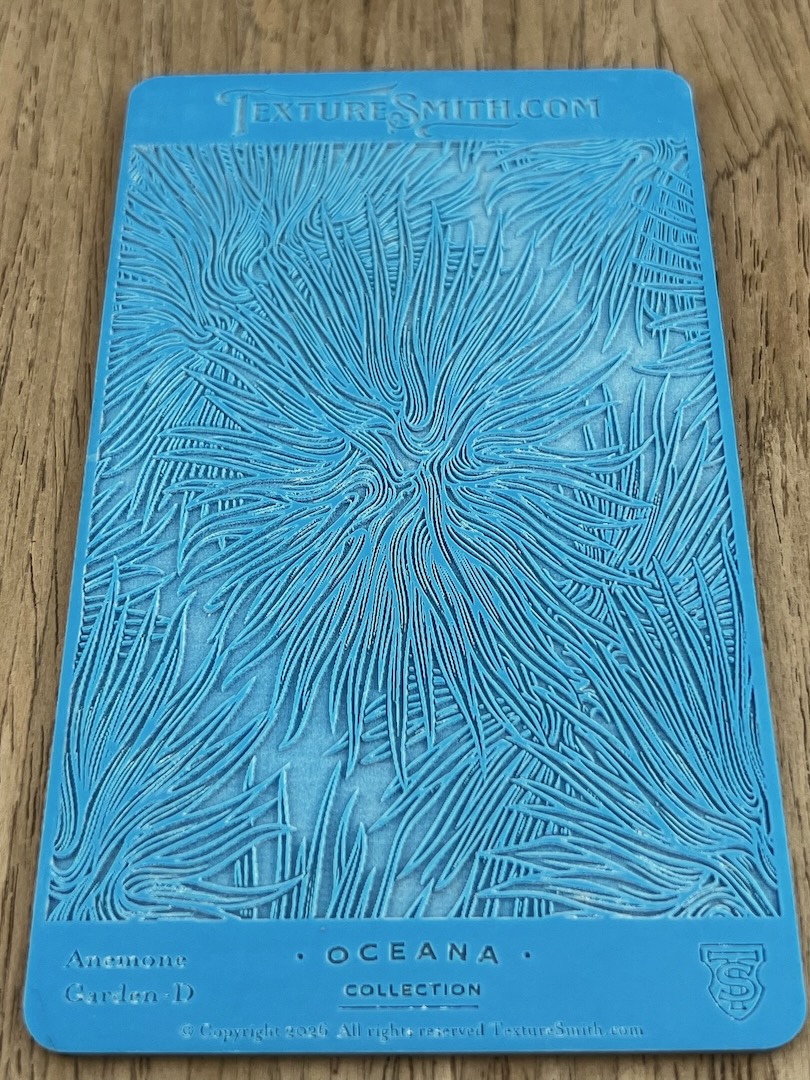 Anemone Garden D