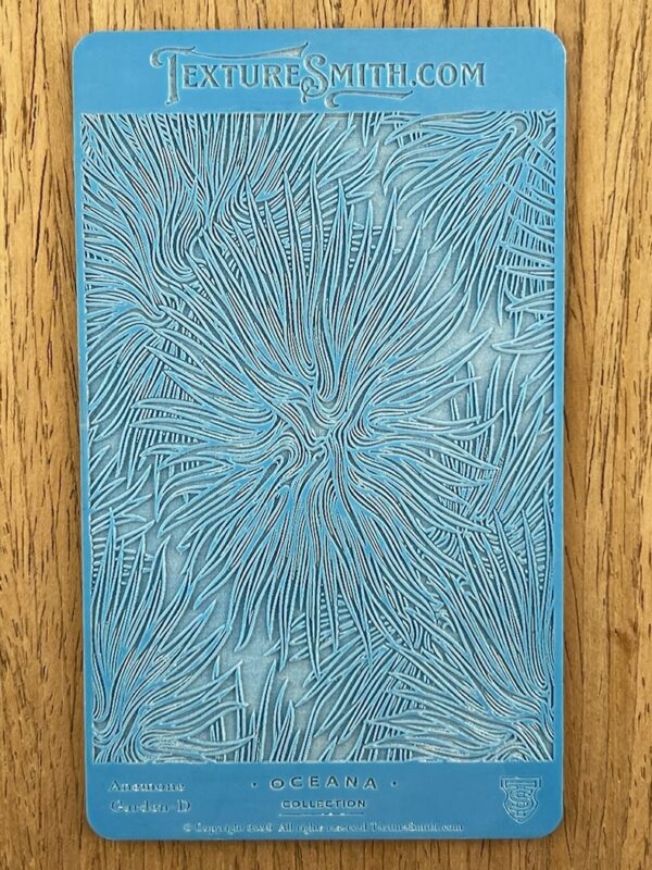 Anemone Garden D