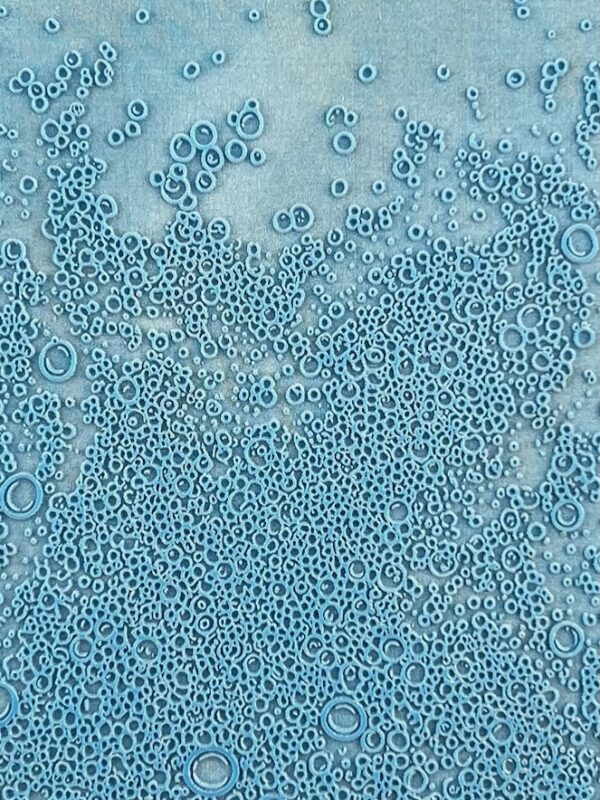 Bubbles Small D