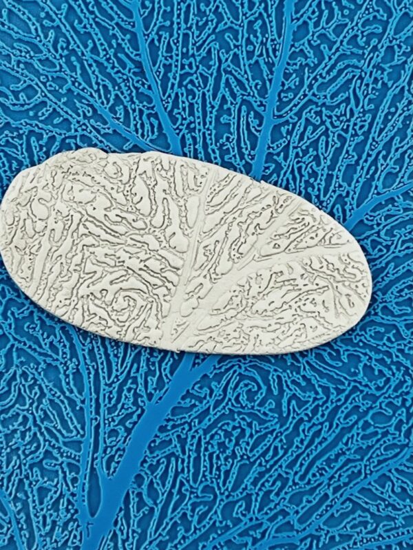 Coral Tree D