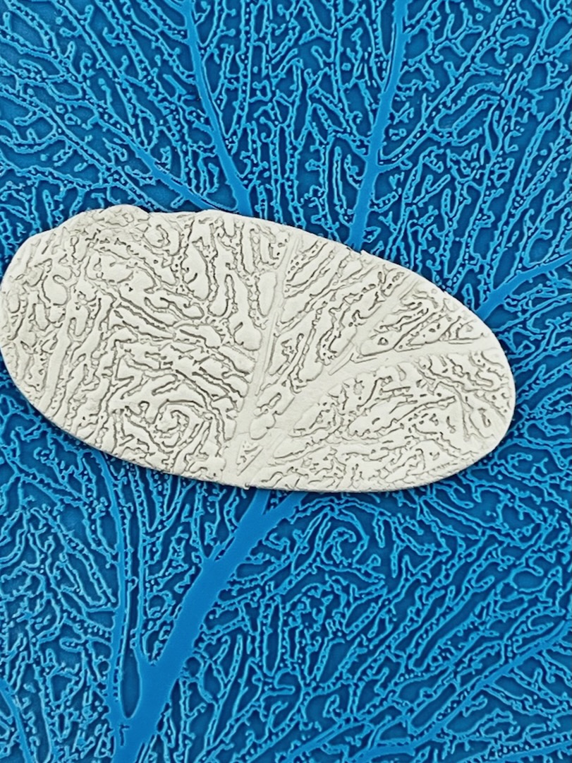 Coral Tree D