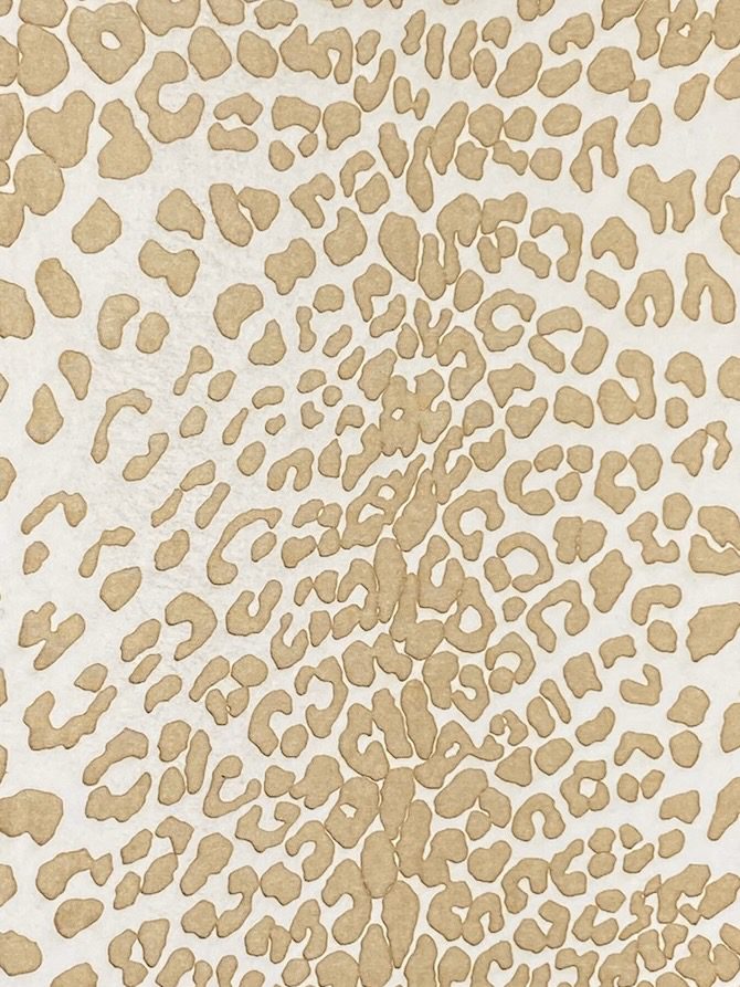 Cheetah E