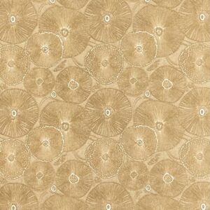 Baby Sea Anemones - Paper Texture Card