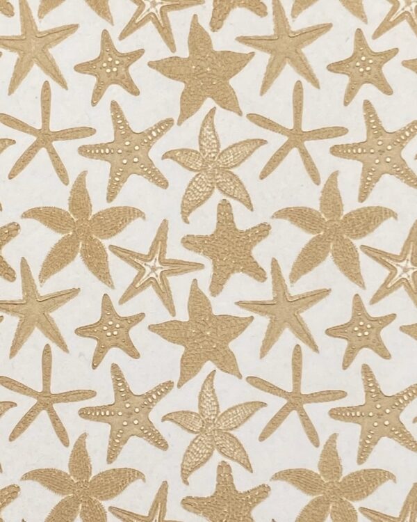 Starfish Galaxy E