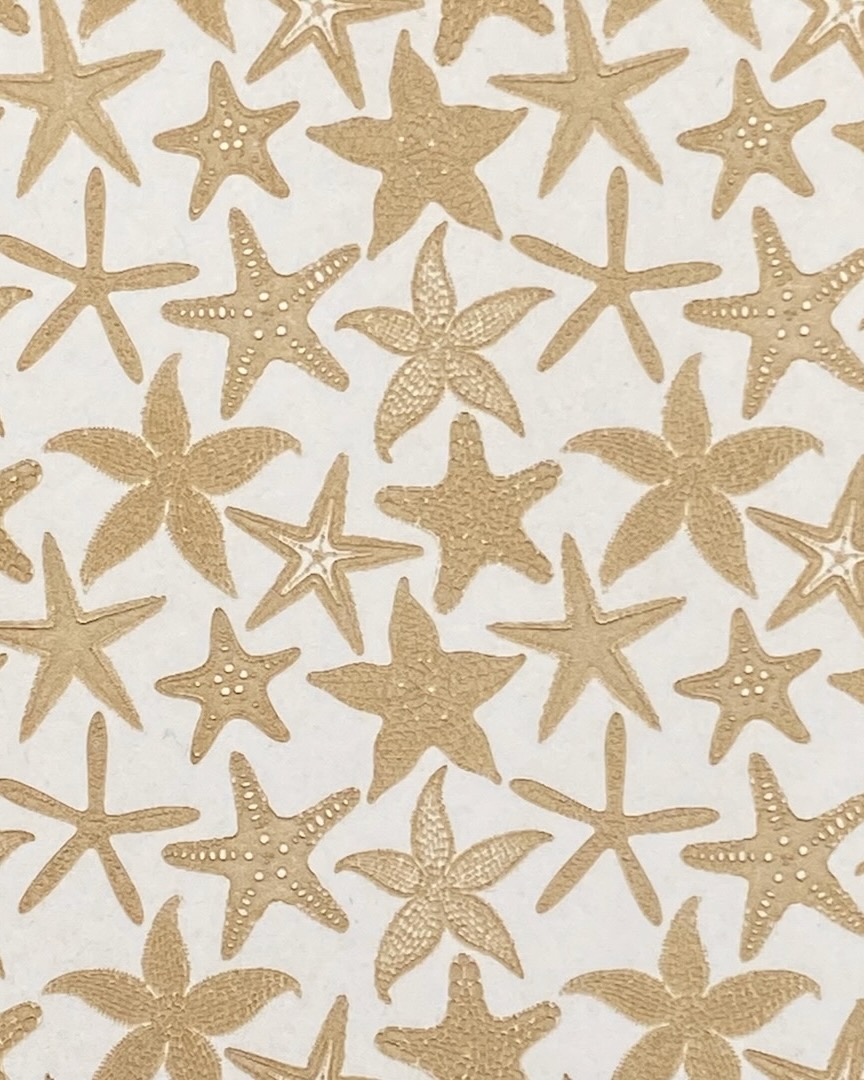 Starfish Galaxy E