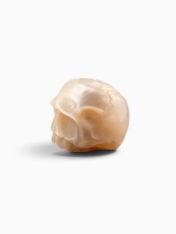 Pearl skull white half jaw