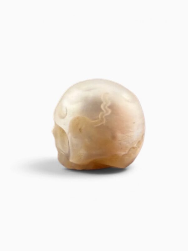 Pearl skull white half jaw